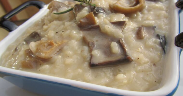 Risotto de setas secas con MAMBO