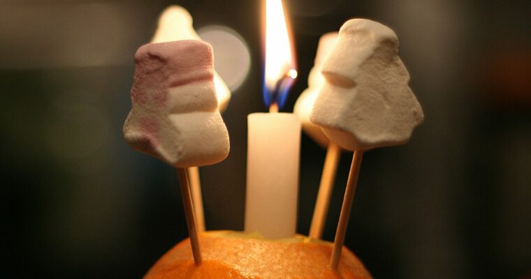 MERMELADA DE NARANJA Y CAQUI LIGHT con olla GM