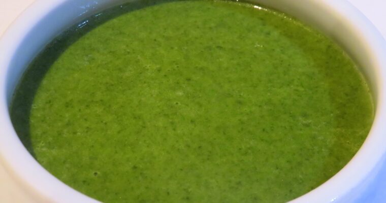 Crema de Acelgas con monsieur cuisine