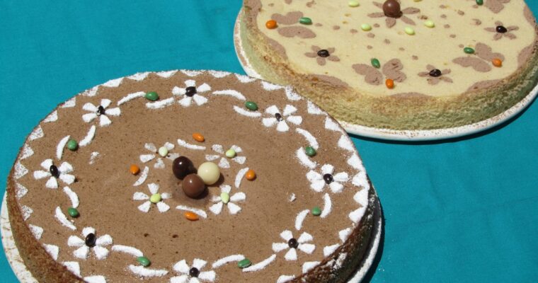 Bases de bizcochos expres con MAMBO