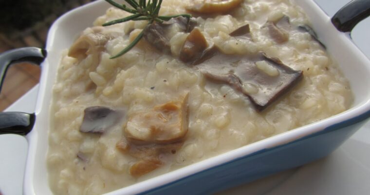 Risotto de setas secas con olla GM