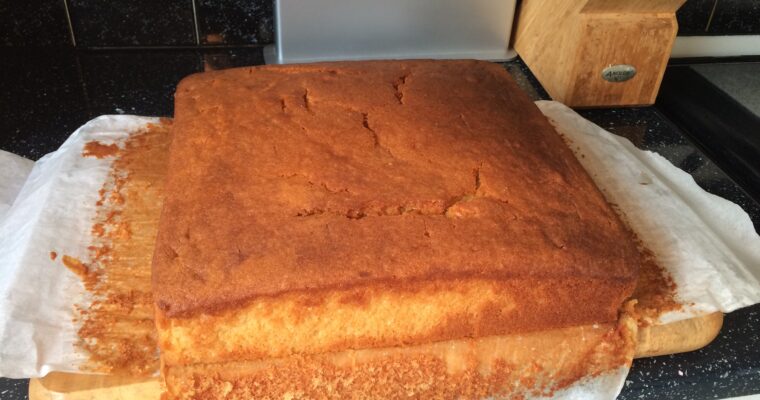 Delightful Guadalajara Drunken Sponge Cake Recipe: Easy and Delicious with Thermomix