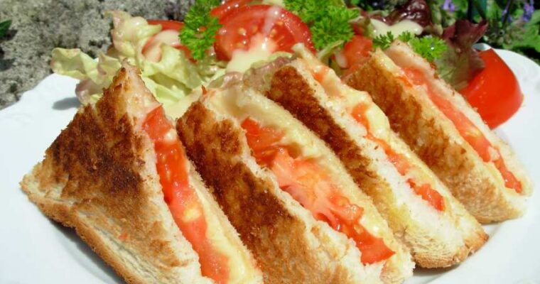 Delightful Tomato Coca with monsieur cuisine: A Taste of Mediterranean Flavors