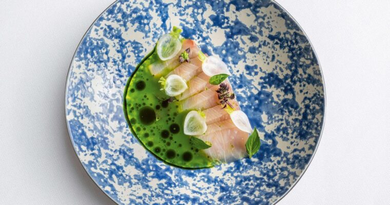 Wholesome and Creamy: Discover the Delight of Burgos Cheese Vegetable Purée with Monsieur Cuisine