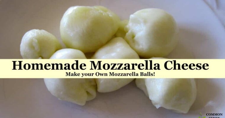Deliciously Cheesy: Try This Authentic Mozzarella Balls Recipe!