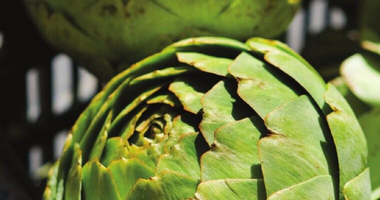 Olla GM Magic: Transform Romanesco into a Mouthwatering Gratin