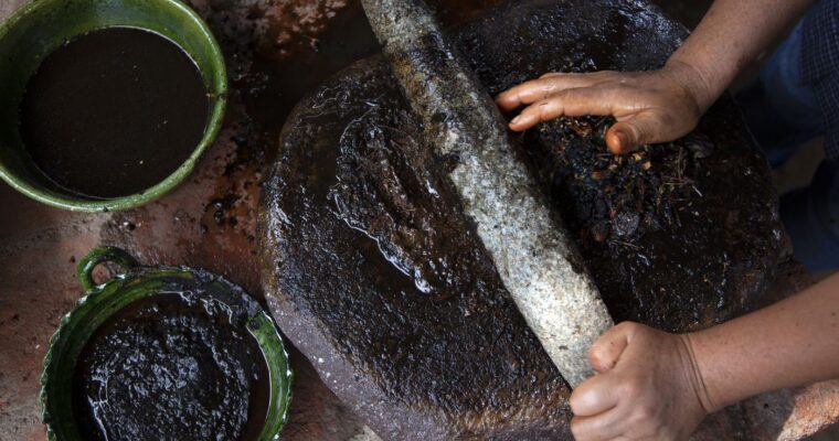 Tortitas con Olla GM: A Taste of Mexico Right in Your Kitchen!