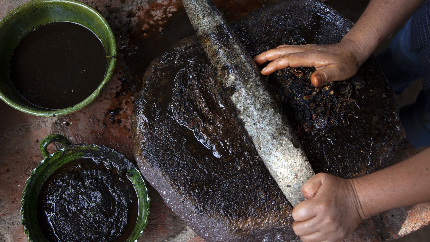 Tortitas con Olla GM: A Taste of Mexico Right in Your Kitchen!
