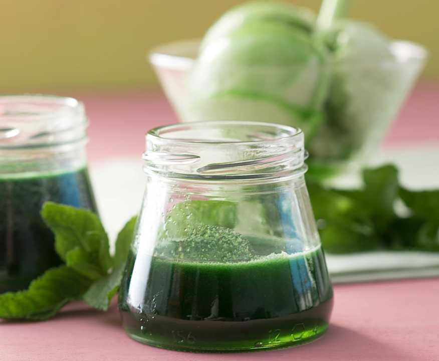 Delicioso Sirope de Menta hecho en casa con Thermomix