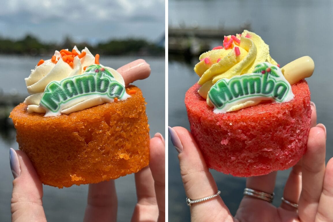 Bite into Bliss: Delightful Carrot and Walnut Cupcakes with the Magic of MAMBO