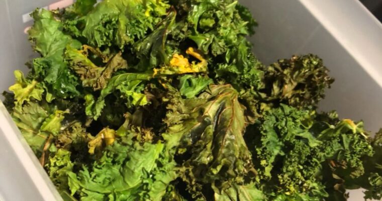 Impress Your Guests with Cordero Lechal al Horno Cooked to Perfection in Olla GM