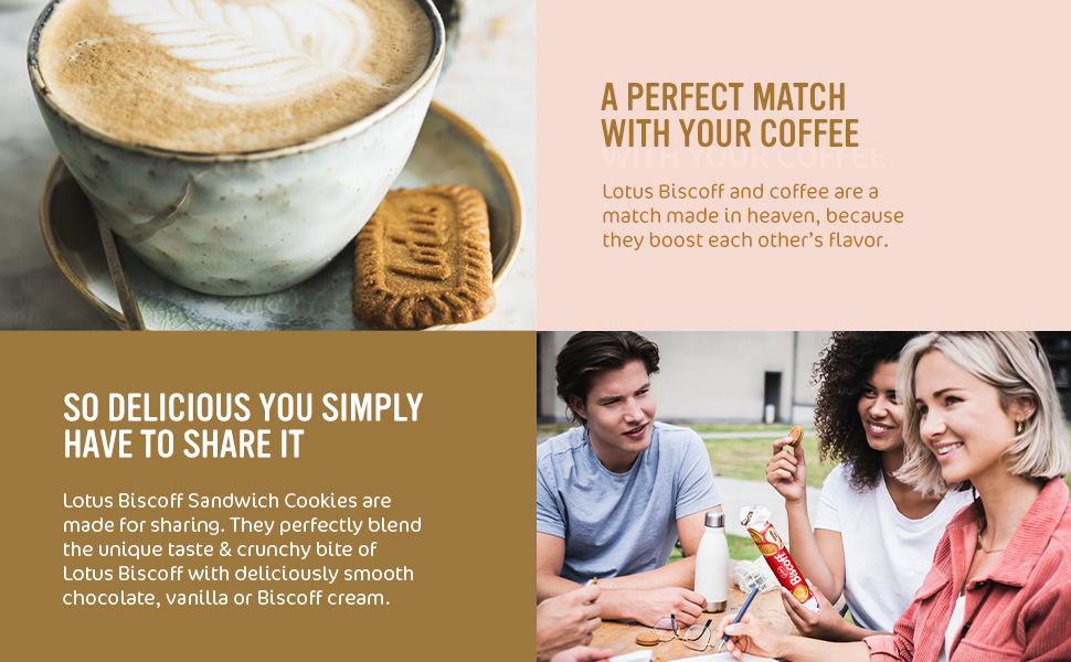 Treat Yourself to a Slice of Bliss: Cheesecake de Galletas Lotus with MAMBO Delights All