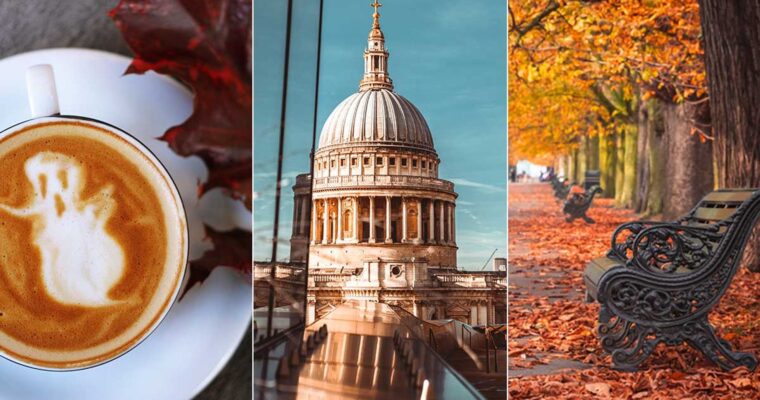 Unlocking the Secrets of Tortas Imperiales: A Journey with monsieur cuisine