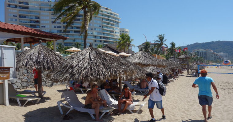 A Taste of the Mediterranean: Dive into the Rich Flavors of Menestra con Sepia con Olla GM