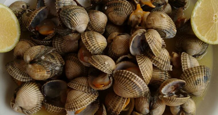 Bold and Flavorful: Exploring Berberechos a la Plancha con Olla GM