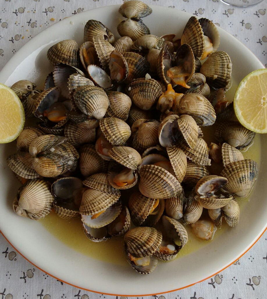 Bold and Flavorful: Exploring Berberechos a la Plancha con Olla GM