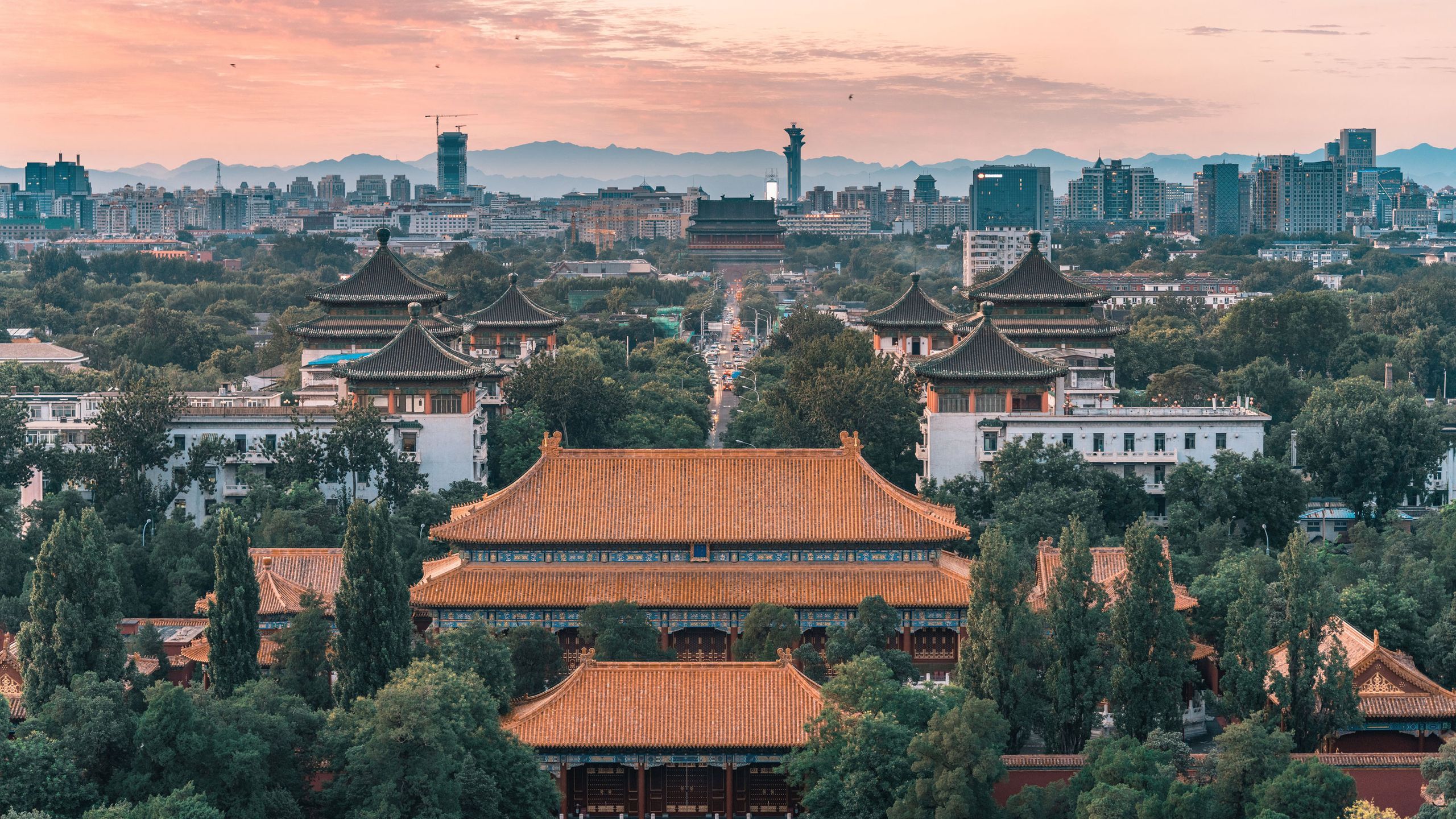 Cook Like a Pro: Arroz con Emperador con Olla GM Recipe Revealed