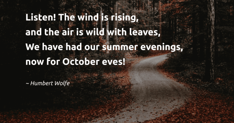 Discover the Magic of Menestra con Sepia con Olla GM: An Exquisite Spanish Delicacy