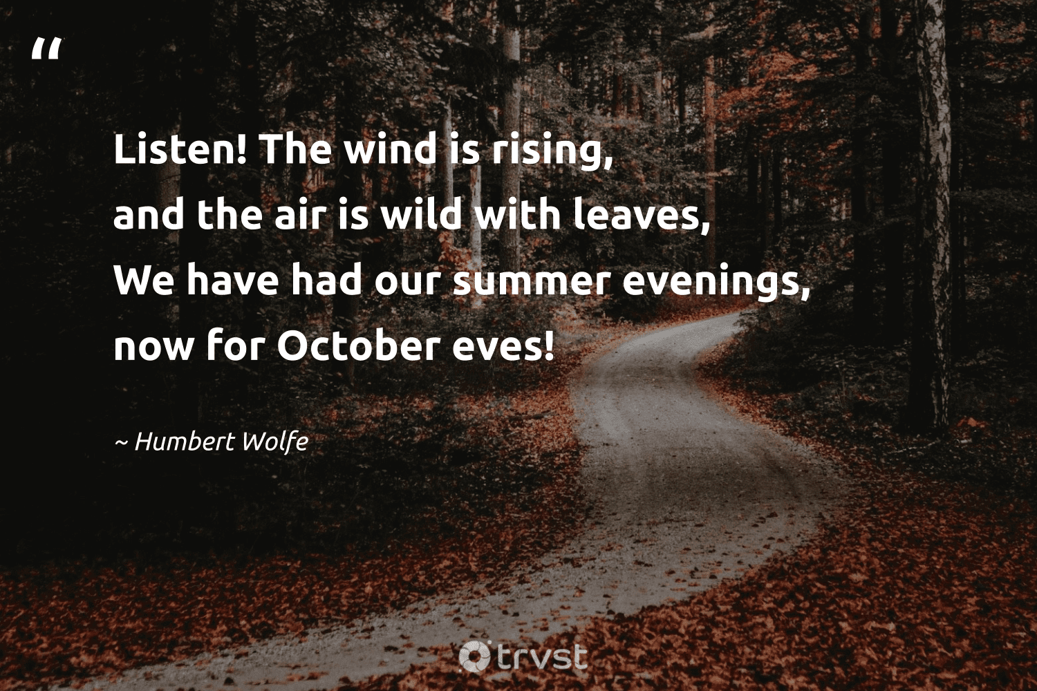 Discover the Magic of Menestra con Sepia con Olla GM: An Exquisite Spanish Delicacy