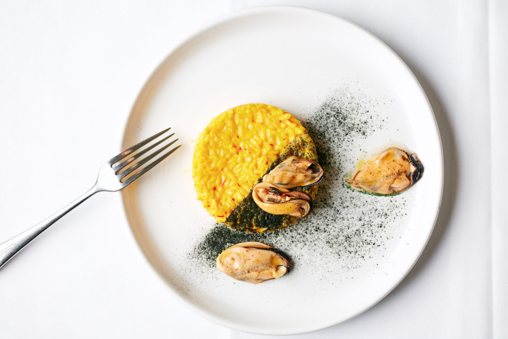 Experience gourmet cooking at home with Pollo con salsa de Queso y Albahaca and monsieur cuisine