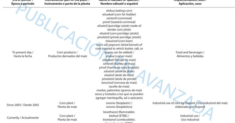 Health Benefits of Judías Verdes Guisadas con Olla GM: A Tasty and Nutritious Meal