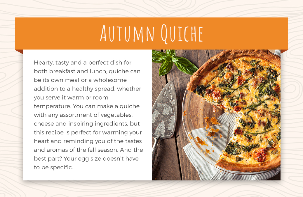 Olla GM Cooking Made Easy: The Ultimate Guide to Making Scrumptious Vegetable Quiche