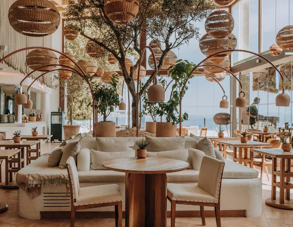 Indulge in the Delicate Flavors of Merluza al Cava with a Twist of MAMBO