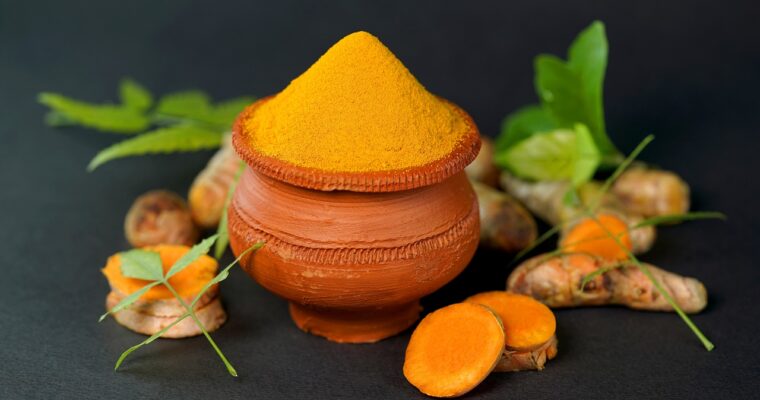 Savor the Flavor: Exploring the Delicious World of Calabacines de Atun con MAMBO