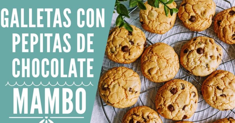 Deliciosas galletas de avena y chocolate hechas con Thermomix y MAMBO