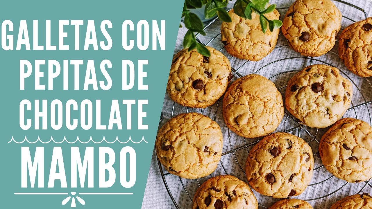 Deliciosas galletas de avena y chocolate hechas con Thermomix y MAMBO