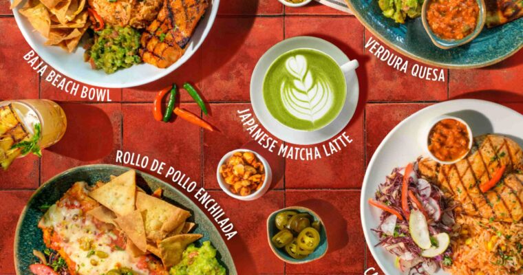 Savor the Flavor: A Taste of Pollo Teriyaki con Mambo